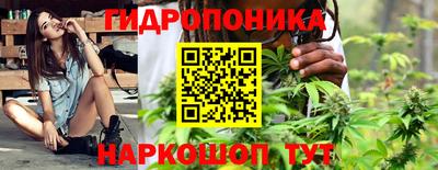 тгк Бийск