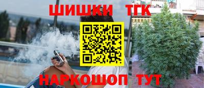 тгк Бийск