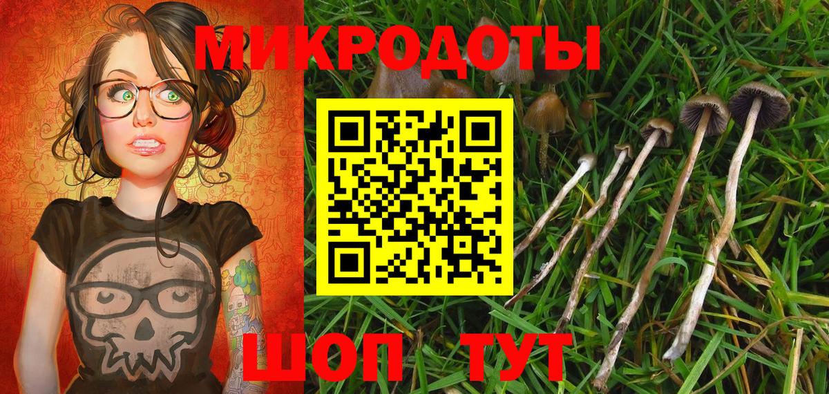 Галлюциногенные грибы ЛСД  Вход с VPN  Галлюциногенные грибы Psilocybine cubensis  Киселёвск 